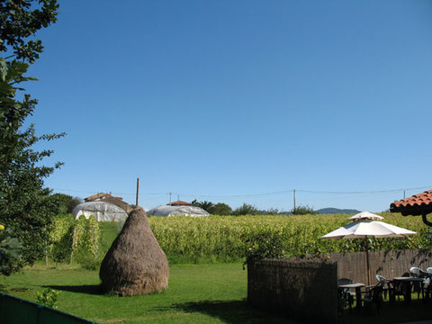 Paisaje