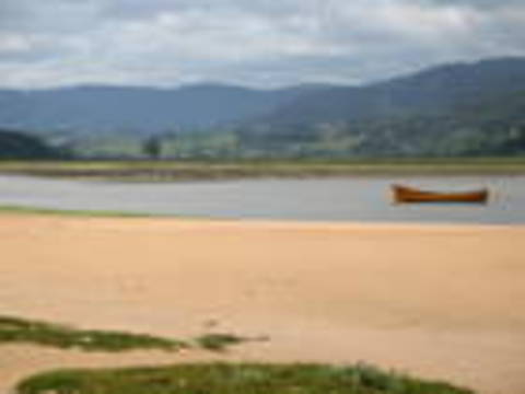 ria1