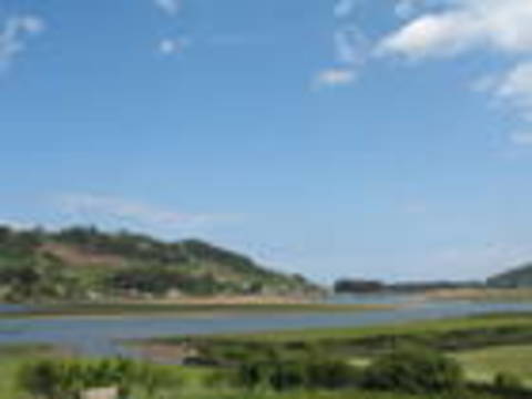 ria2