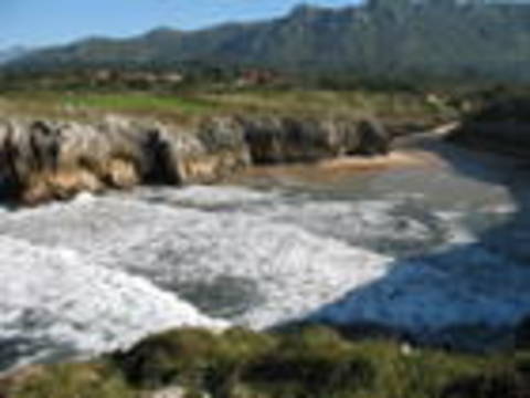 aguamia