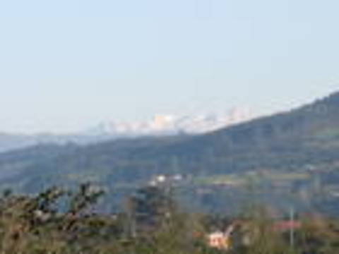 sueve
