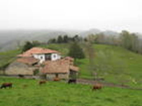 caseria