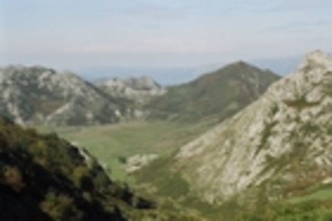 picos