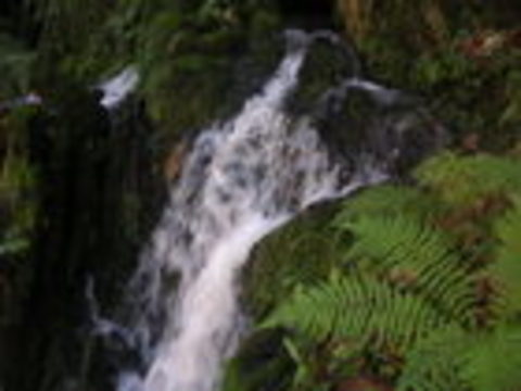 cascada