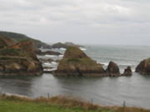 Costa occidental