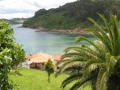 Tazones